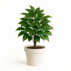 Collection image for: Artificial Plants