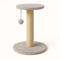 Cat Scratching Posts & Towers