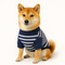 Pet Clothing & Costumes