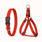 Collars & Harnesses