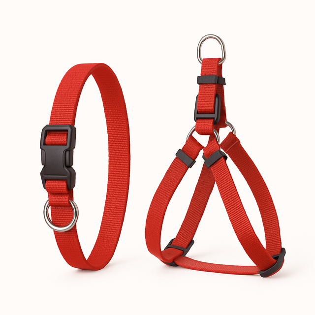 Collars & Harnesses