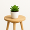 Tabletop Planters & Mini Pots