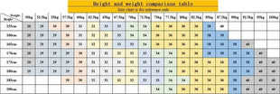 2025 Spring Men’s Straight-Leg Jeans – Elastic Mid-Waist Fit in Smoke Gray & Black – Classic Casual Denim Trousers